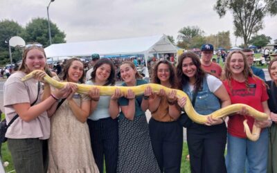 Entrenando de nuevo 💣💥